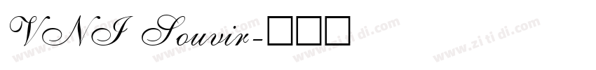 VNI Souvir字体转换